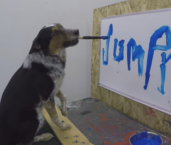 BluRadioCo's tweet photo. Video: Jumpy, el perro que sabe escribir su nombre y ‘te amo’ https://t.co/X9JxxAygGo #Viral https://t.co/JR3Xy8453q