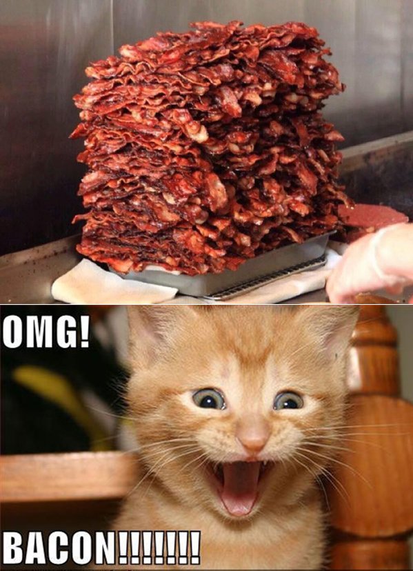 MOB on #BaconDay @Squawkmob @MrNookster <a href="/Baldskull/">Kelly O'Brien</a> <a href="/JustinJamesDJ/">Jj</a>