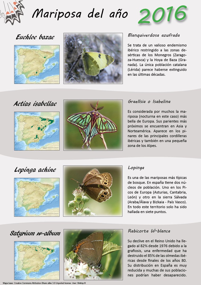 ZERYNTHIA tweet media