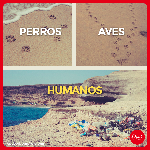 HuacachinaOasis's tweet photo. RT @adticaperu: Si planeas recibir el Año Nuevo 2016 en la Playa, no dejes huellas de basura !!! #Perú #Turismo https://t.co/onXg1O2n60
