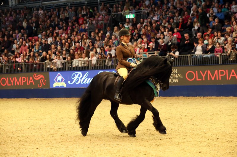 Bridleworks's tweet photo. Townend Scubert who was crowned supreme Mountain and Moorland at Olympia wears our native pony double bridle. https://t.co/7fA3e1lRQf
