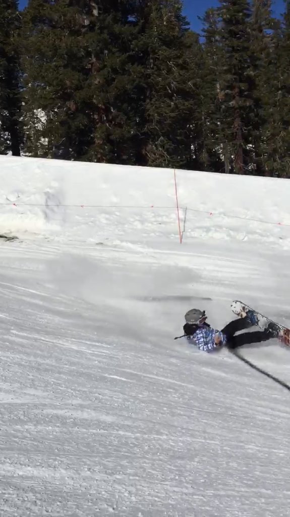 laura_ellison53's tweet photo. "how's the semester going?" https://t.co/XsJYBXYIql