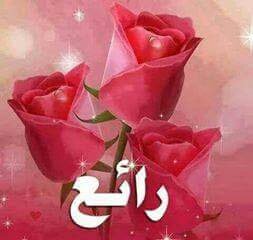 @roselovers140 هذا احلي ورده الي سنين عمرك