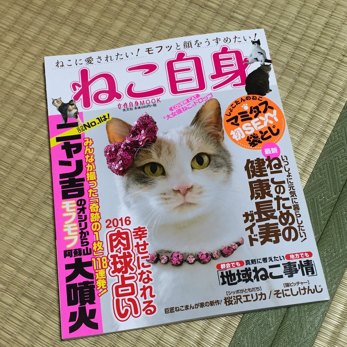 ねこ自身 発売 非公式まとめ 8ページ目 Togetter ねこ自身 発売 非公式まとめ 8ページ目 Togetter