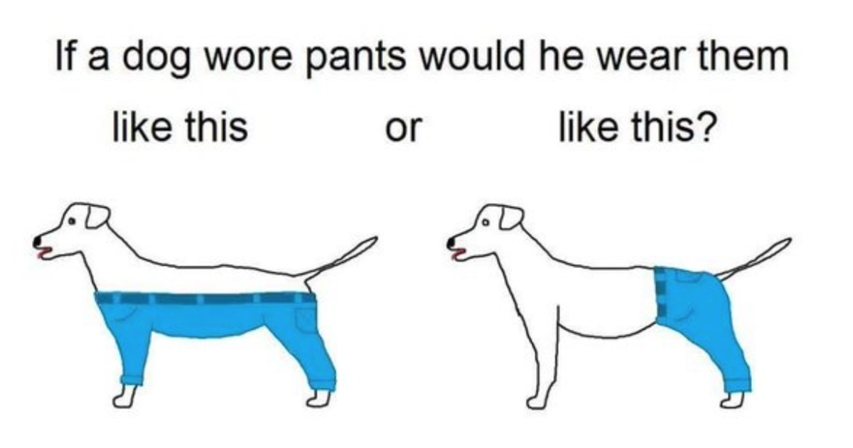 HuffPost's tweet photo. The Internet's showdown on dog pants is exactly how we want to end this year https://t.co/Y80Vus4kzZ https://t.co/UKcGZYG946