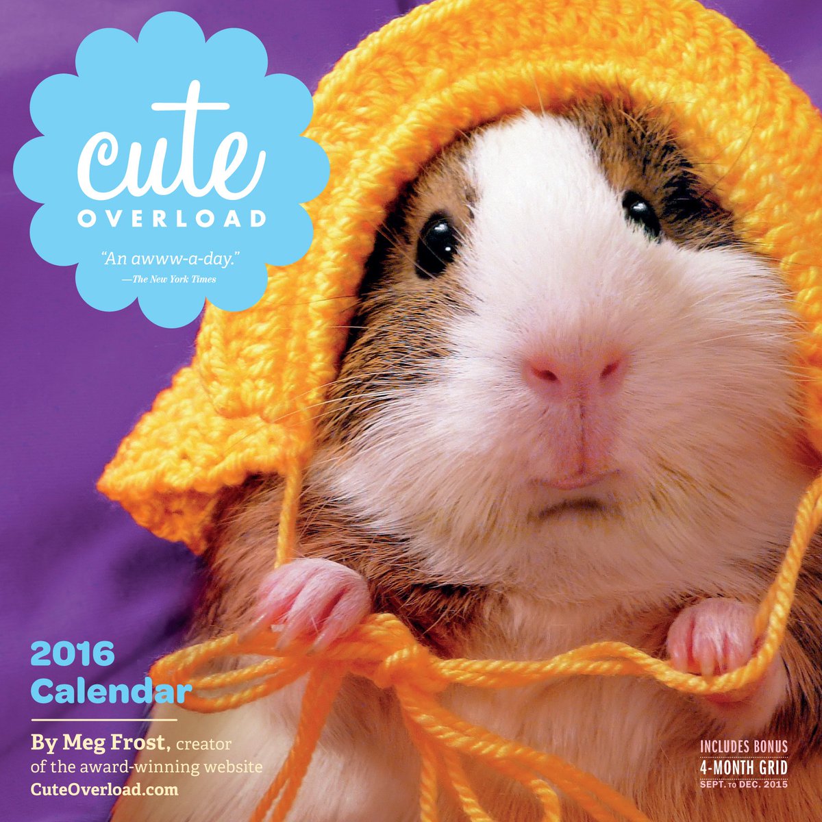 Cute Overload tweet media