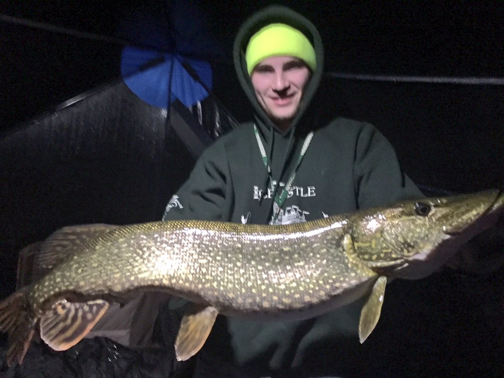 11vandy's tweet image. Pullin big dogs through the ice