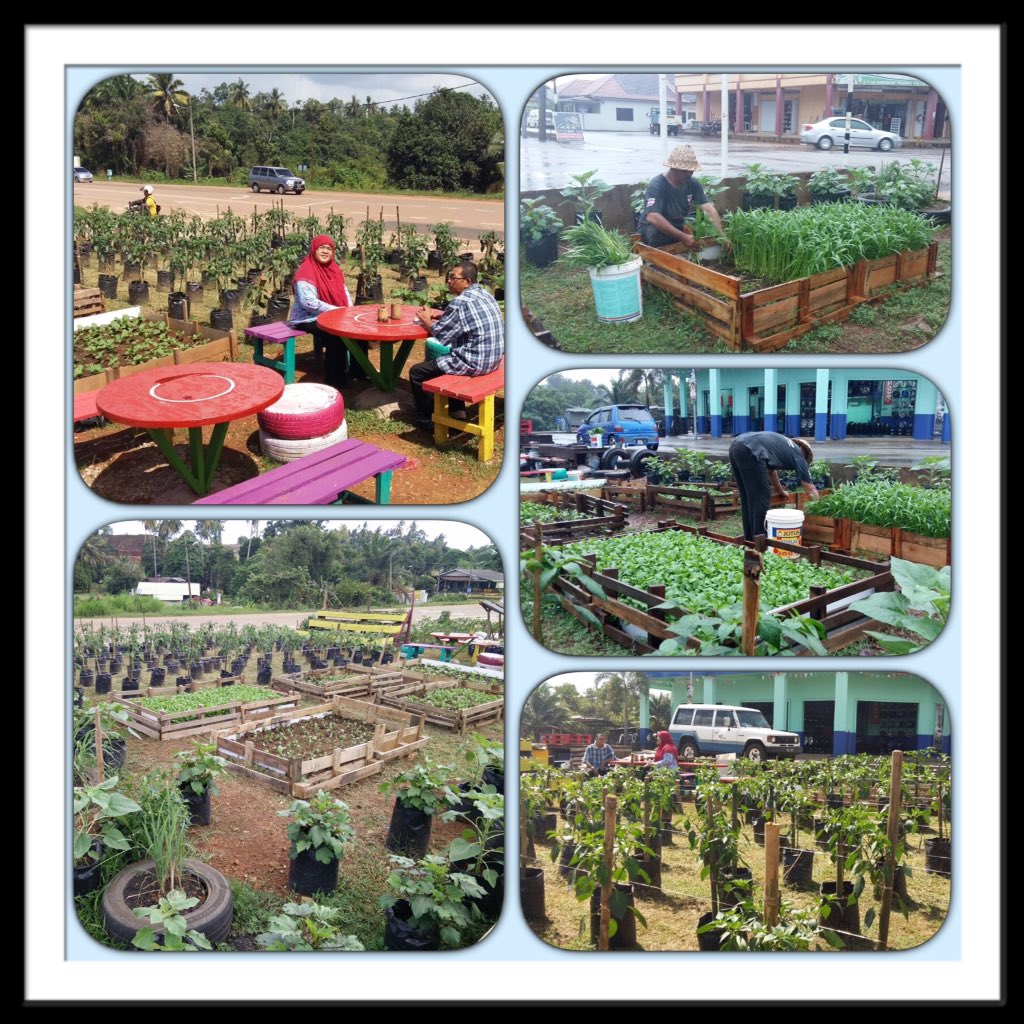 Jabatan Pertanian Malaysia On Twitter Jabatanpertanian Pert Bandar Kgpadang Kuantan 2kerja Likeforfollow Takeaction Shaberyc Ismailbakar60 Https T Co 1yhlwxxuka