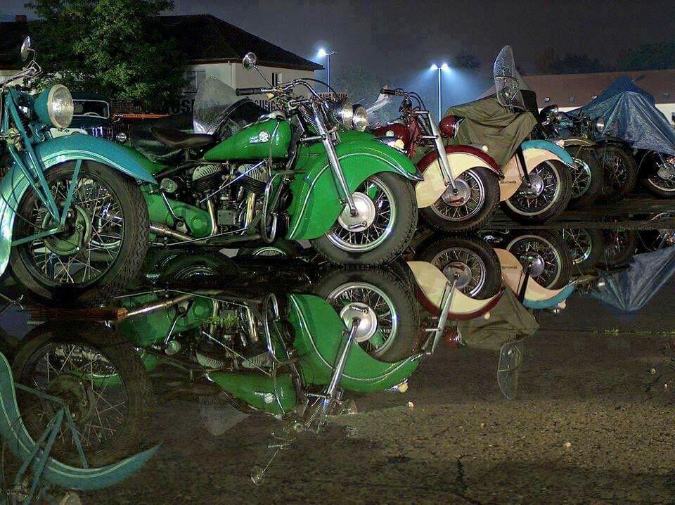 stfugrace tweet media