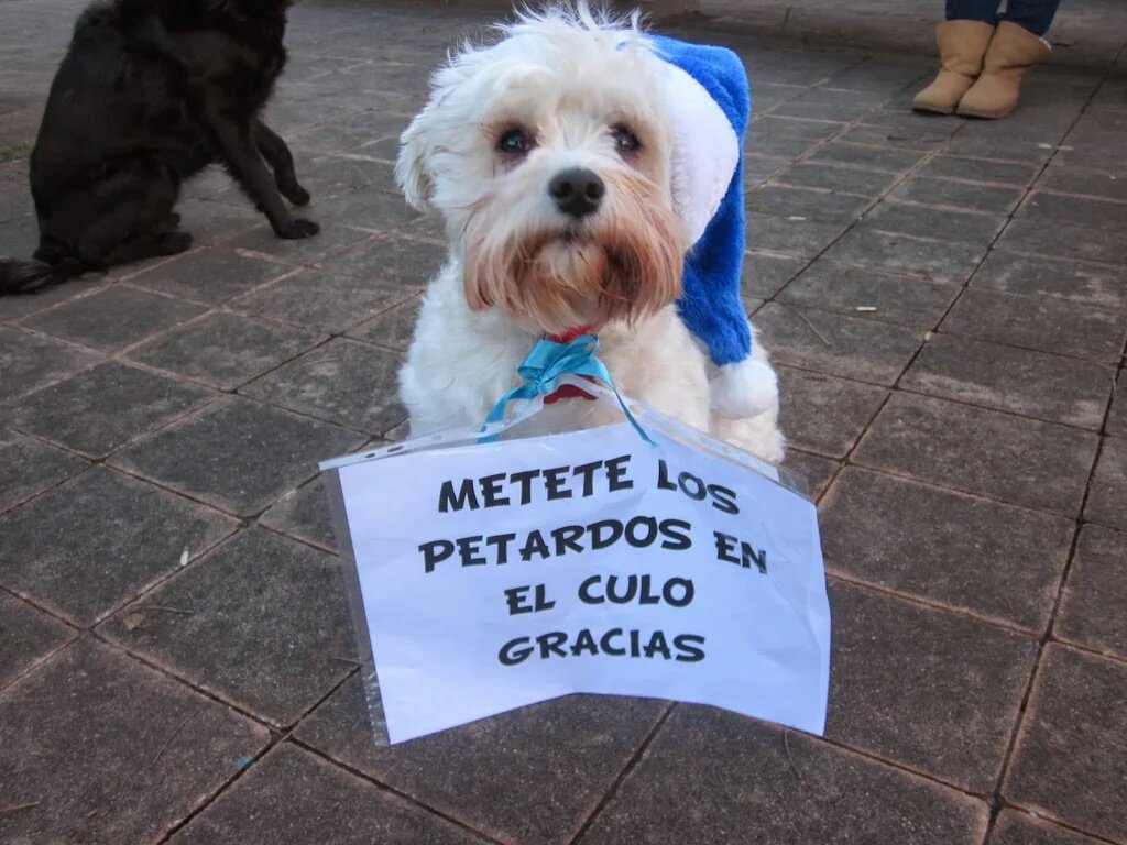 tamara_parejo's tweet photo. #Adios2015 #AnoNuevo y hoy... https://t.co/PUGwIrRolf