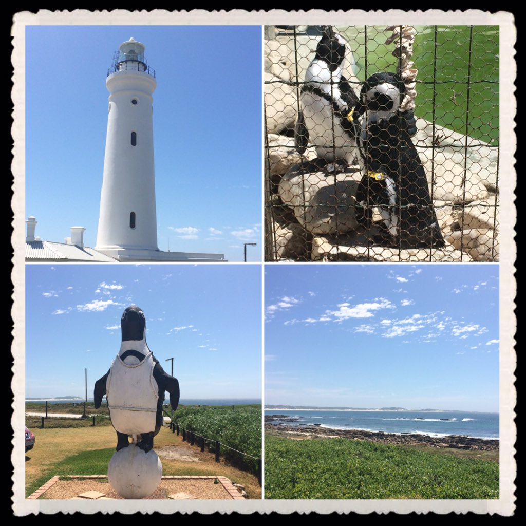 SueUllyett's tweet photo. Summer fun at Cape St Francis @BOS #NewYearsEve #WithLoveFromBOS https://t.co/LQQ38CW2Xy