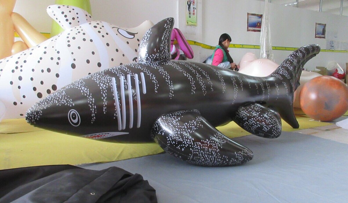 Hongyi5Eva's tweet photo. Latest happy shark ^_^ https://t.co/9YMSiqamuW