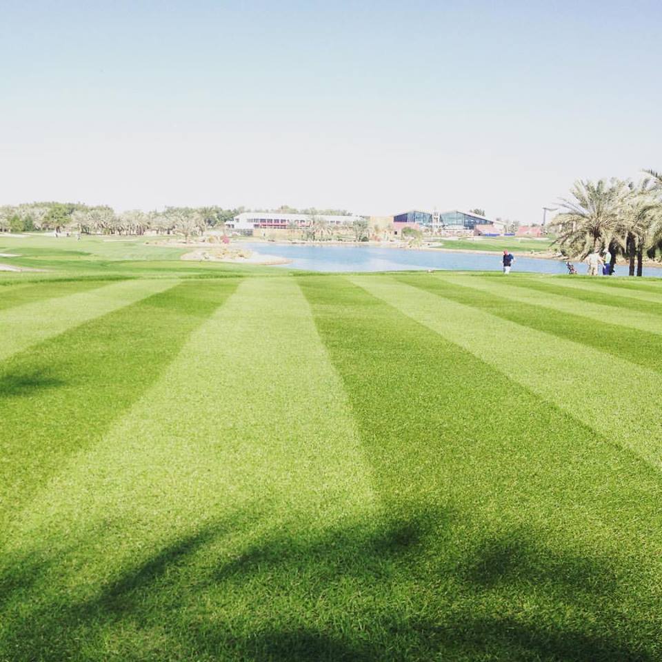 ADGolfClub's tweet photo. It's New Years Eve but the on course work never stops for a party! #18tee #perfectplayingconditions #ADGC #troongolf https://t.co/xfTSukBQle