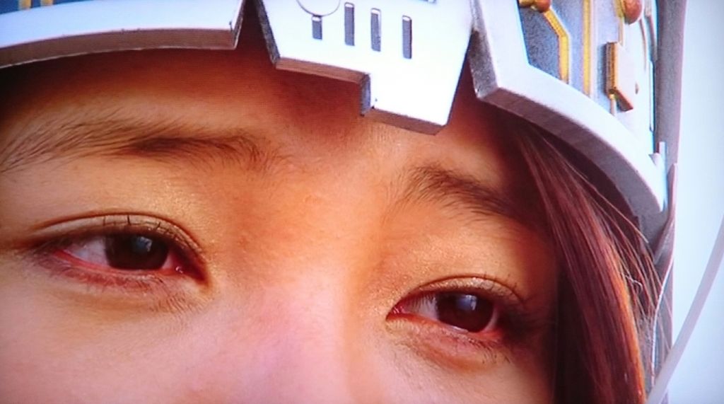 帰ってきた特命戦隊ゴーバスターズVS動物戦隊ゴーバスターズ』初BD化