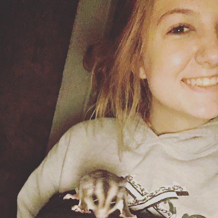 LaurenWorkman55's tweet image. Bandit😜 #nomakeup #hateonit