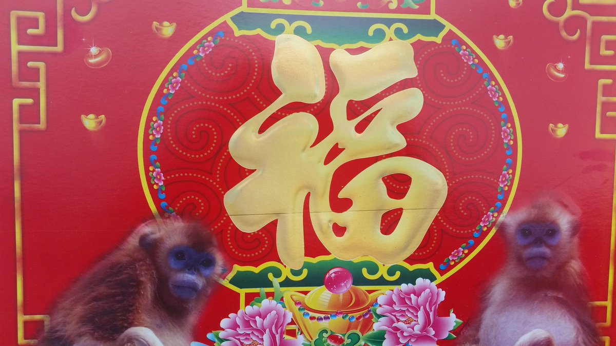 StoryofAnthony's tweet photo. 10 best #FengShui tips this #NewYear2016 #firemonkey
https://t.co/RXdhK39H8F
#que2016 #Cardenales #NewYearsEve https://t.co/bgQqp6h5l1