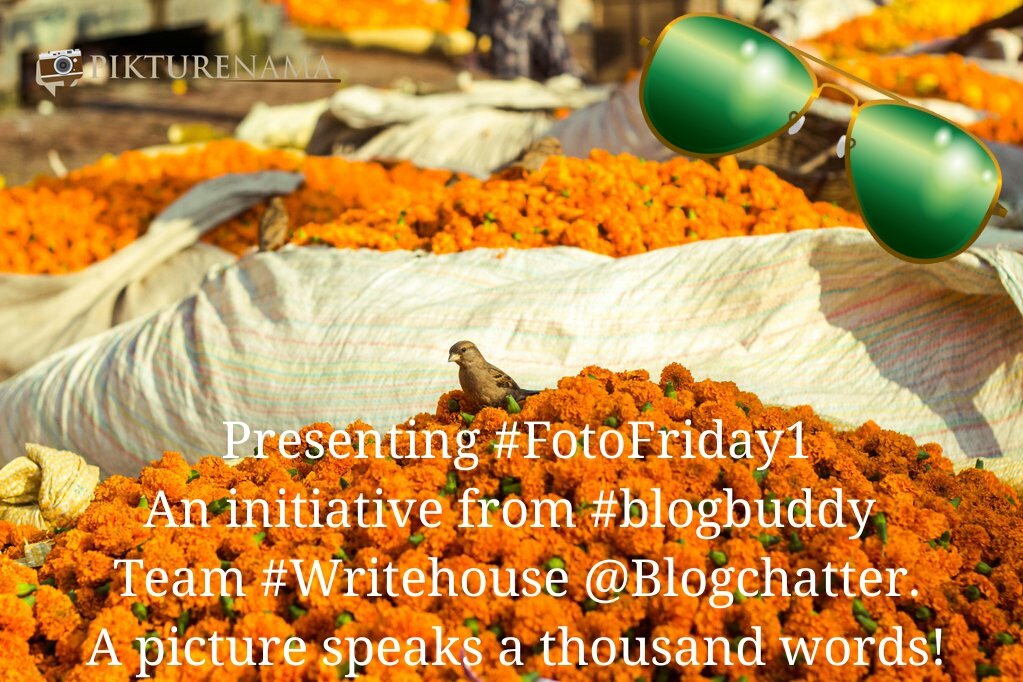 KalaRavi16's tweet photo. #NewYear #blockbuster release from #blogbuddy team #Writehouse. Stay tuned for updates :) https://t.co/we6KcRNqtX