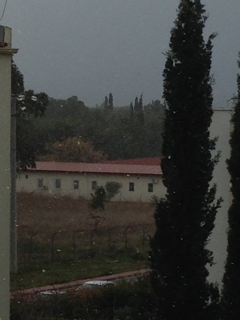 PanosSeitanidis's tweet photo. Πρωινο ξυπνημα με χιονι!
#loveit #WinterFinally #γιουπι https://t.co/5kPtEUt5zd