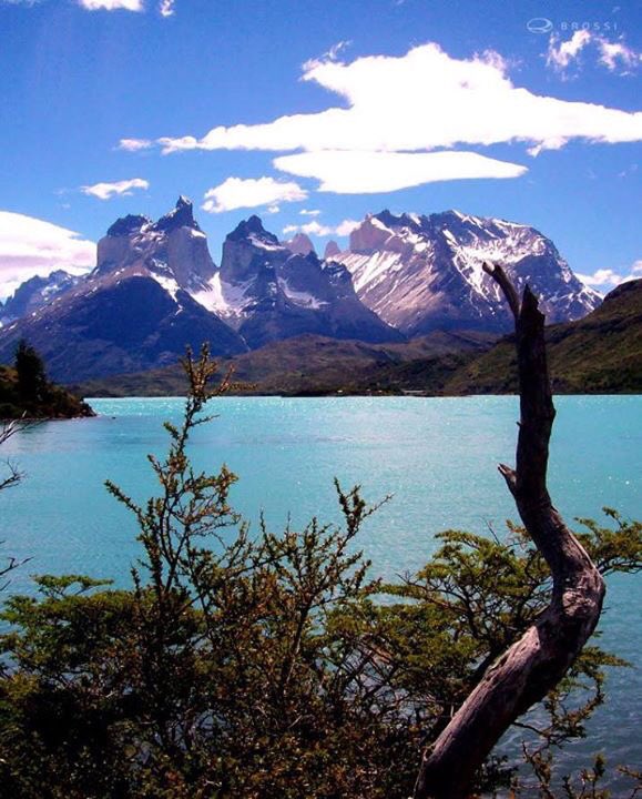 PedrosTrips's tweet photo. Il lago Argentino!😉
Tracking con Tecnologia Telematica Satellitare #Viasat #BluTrack:
https://t.co/Jwl5j3Bd0W https://t.co/kioqJqacwV