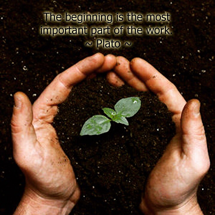 carrieanninaba's tweet photo. Something to think about as the #NewYear approaches #plantyourroots for a #BeautifulNewBeginning #NeverTooLate 😘 https://t.co/dpRSWrRc03