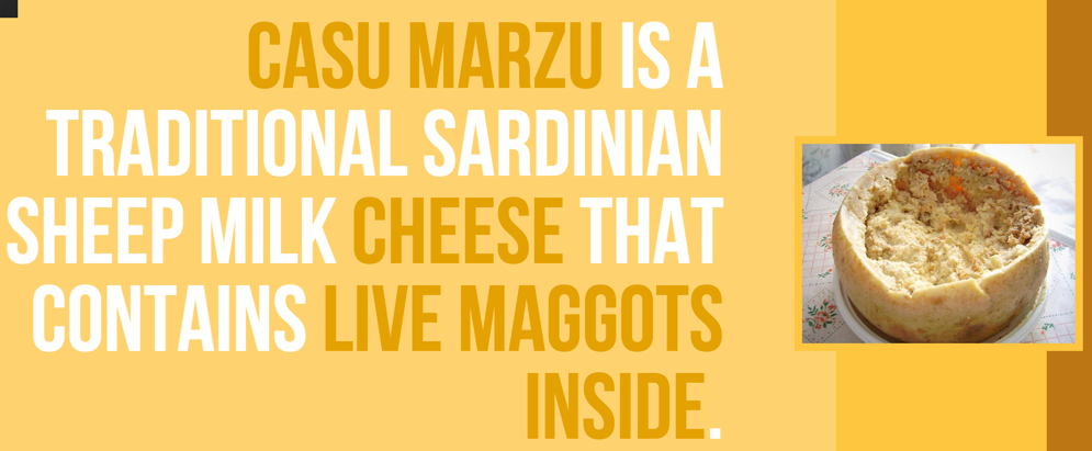 BrainFodderUK's tweet image. Mmmmm maggots #Sardinia #Cheese #FactOfTheDay