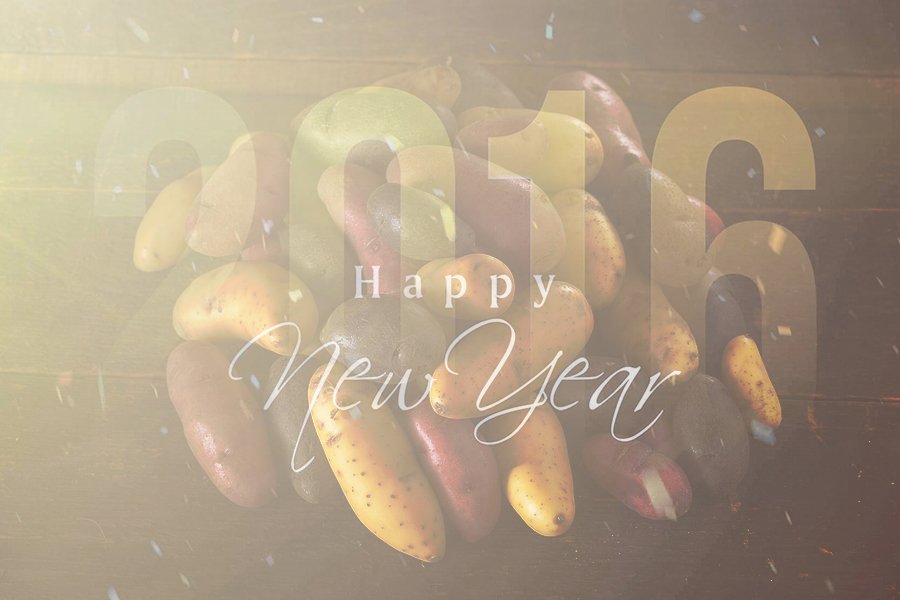 SW_fingerlings's tweet image. Wishing you a #HappyNewYear from your #fingerling #potato #growers in #Idaho