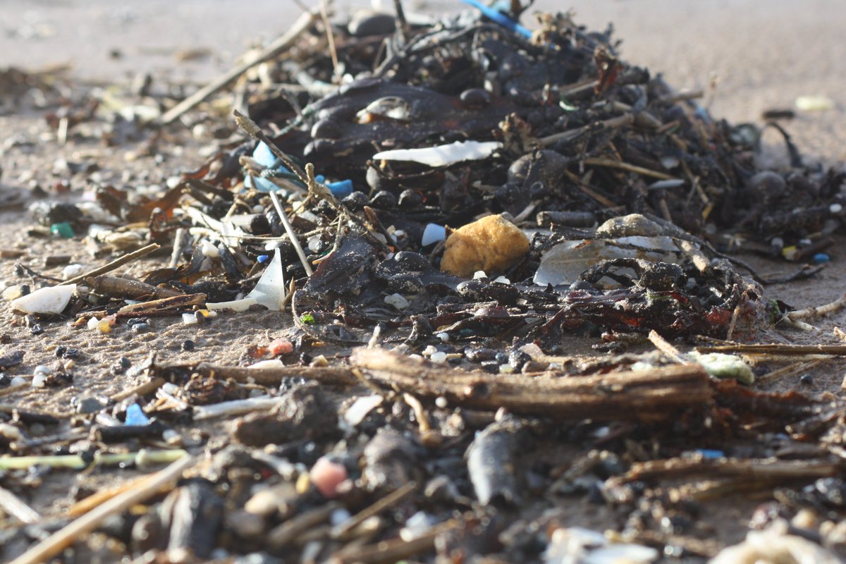 First samples of marine litter for my dissertation from Woolacombe Bay <a href="/cleanmarineND/">Clean Marine</a> <a href="/thepointcroyde/">A quiet read in a noisy world</a>