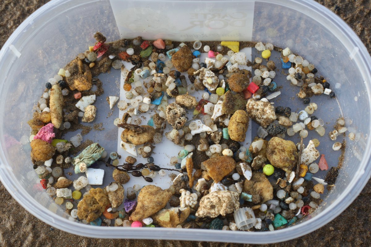 a_massos's tweet photo. First samples of marine litter for my dissertation from Woolacombe Bay @cleanmarineND @thepointcroyde https://t.co/FRNZ8tEtFo