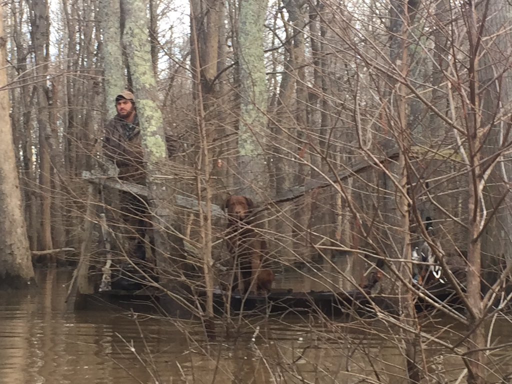 WesBottom's tweet image. Timber. #WesBottom