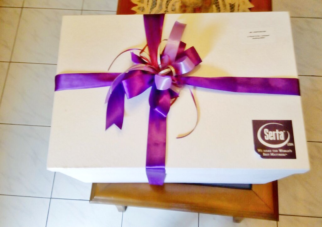 jonathanend's tweet photo. Dapet paket gede banget, ternyata isinya bantal yang cubanget ada dombanya segala! Trims, @sertamattressID! 😁 https://t.co/uvEtzea1Uc