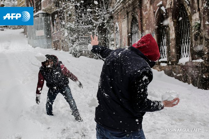 View image on Twitter