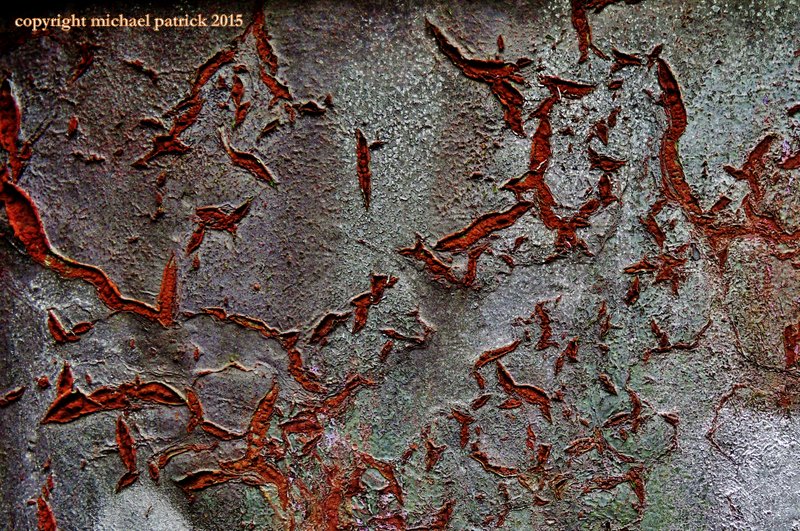 interroimages's tweet photo. spark of life 
rusted gateway to old mill bradford
#abstract #decay #photography #bradford https://t.co/cCB2uYtwft