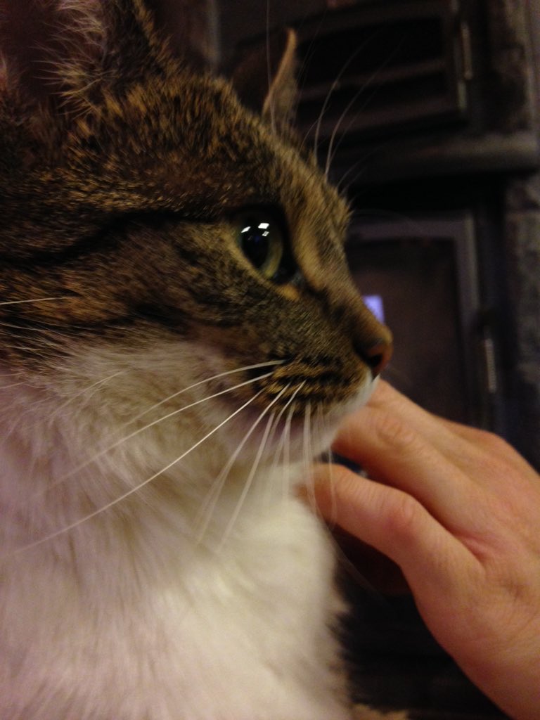 narry0010's tweet image. 