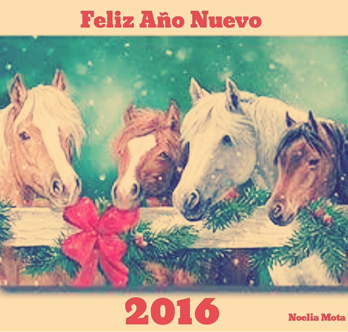 Disfrutar y saborear cada momento de esta noche, y k en este próximo año`16 todos nuestros sueños se hagan realidad