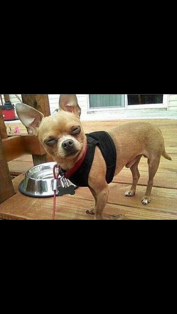 EntourageSal's tweet image. "What's Entourage"?