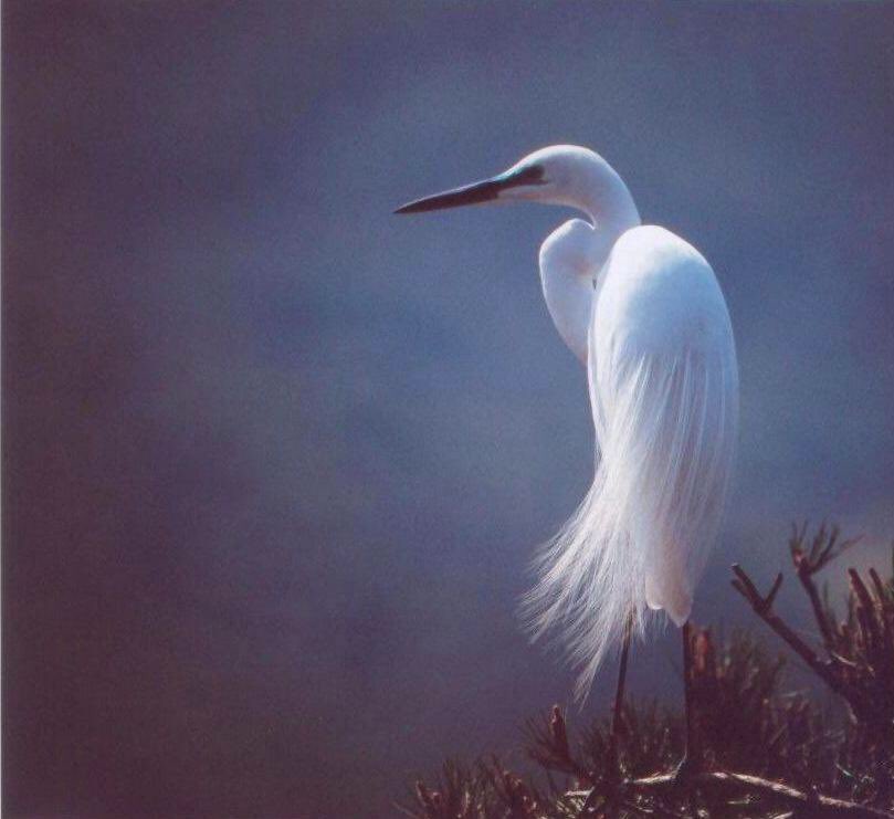 さっきあった実話 Twitter Search