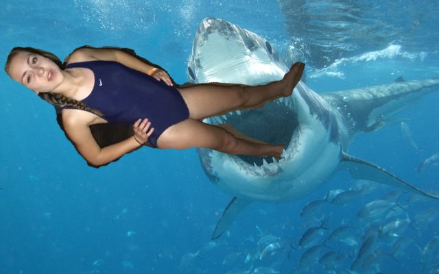 kelseytrainerr's tweet image. #neverforget2015