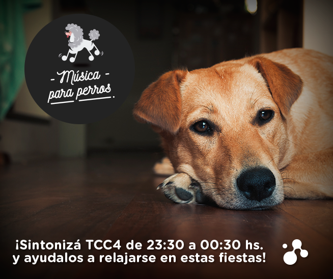 TCCoficial's tweet photo. Tu mascota también quiere pasarla bien este #AñoNuevo
En #TCC4 descubrí la mejor música para tu amigo! Dale RT!! https://t.co/q1GF14pnDn