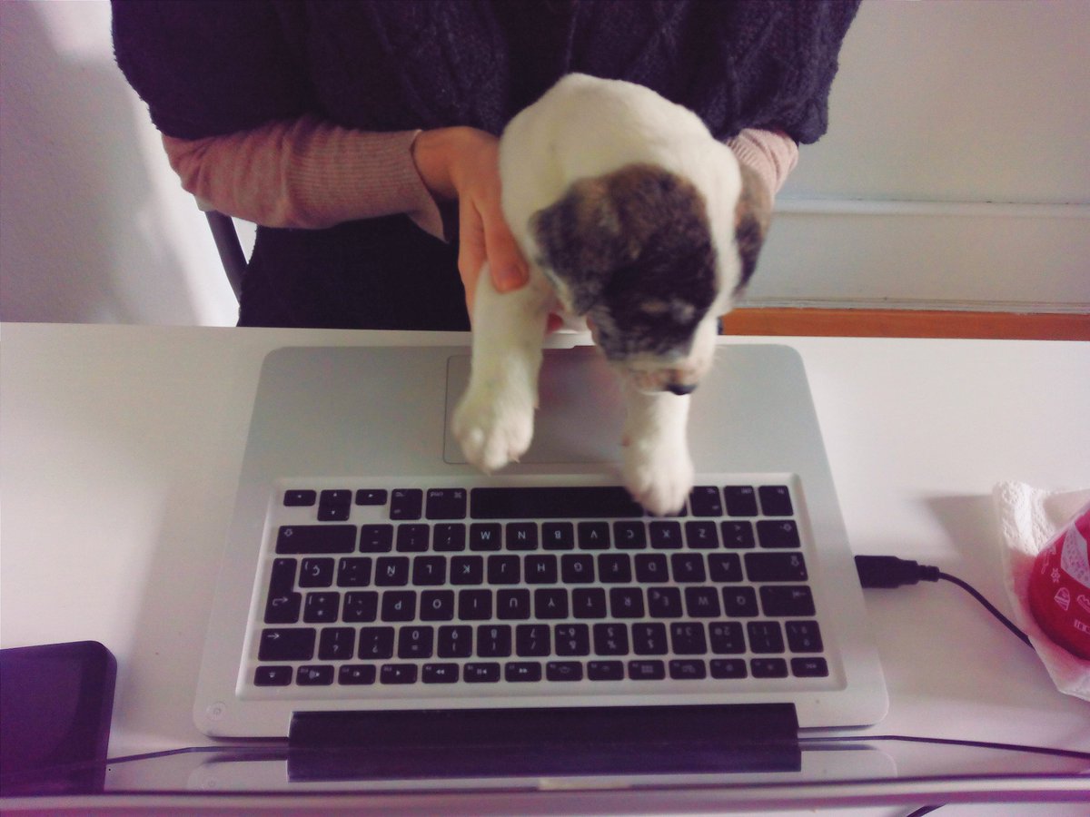 frecklednose's tweet photo. Butifarra kawaii trabajando en su próximo relato para @prosainmortal https://t.co/z8xdVFmmVy