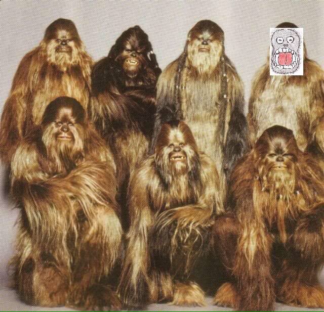 Cúal yo frase Juan Revenga on Twitter: "- Qué chulas! cómo me gustan tus bragas de Chewbacca! - No llevo bragas 🙈 https://t.co/myX9eiY96b" / Twitter Cúal yo frase Juan Revenga on Twitter: "- Qué chulas! cómo me gustan tus bragas de Chewbacca! - No llevo bragas 🙈 https://t.co/myX9eiY96b" / Twitter