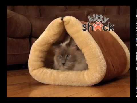 chck90's tweet photo. @catjillmeow for those long Tennessee winters? #kittyshack https://t.co/JjZ5hN7xtK