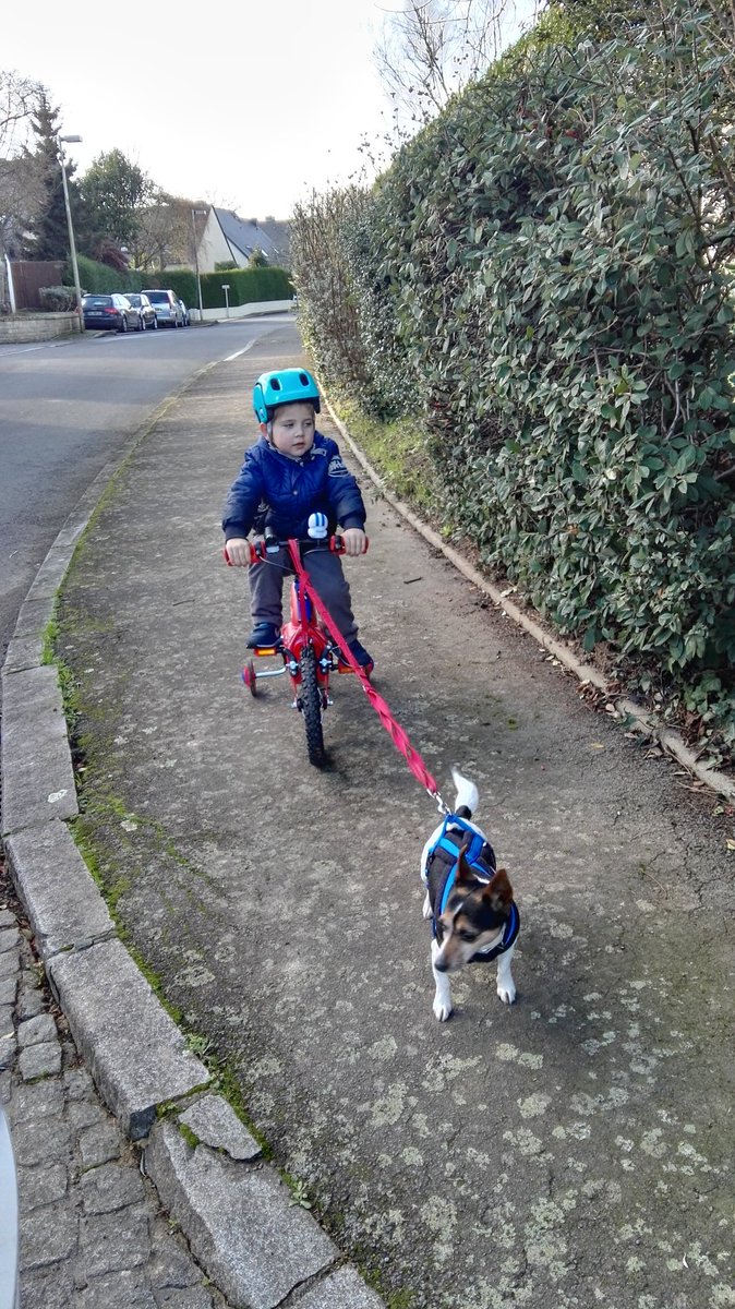 YoFuncky's tweet image. #cannivelo power !