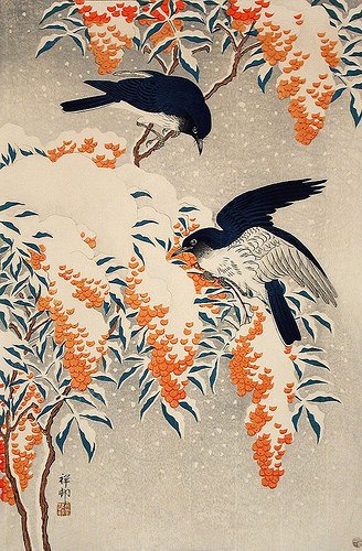 Nuovo giorno dell'anno
fresco leggero
Ci prepariamo a viverti, 
a fiorire
a sperare 
#Neruda /Koson 
#zero15 / 365