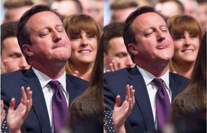 Them Wolves tweet media