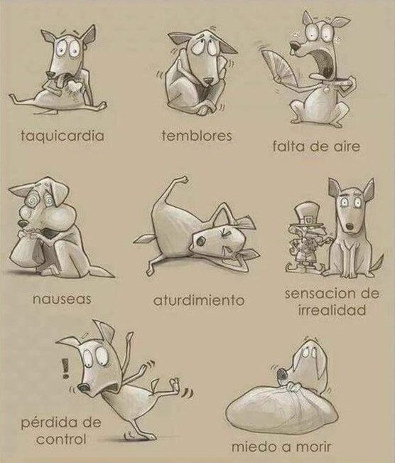 Ellos sufren con tu diversión. Así les afecta la pirotecnia #NoSeasPetardo #Feliz2016