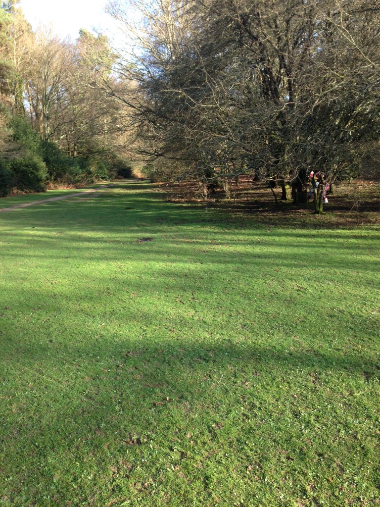 wildrevive's tweet photo. Lovely walk@TheNewForestUK today, very #muddy lots of #fun thank goodness for @HunterBoots #getoutdoors #wildrevive https://t.co/nBzgIDf1dF
