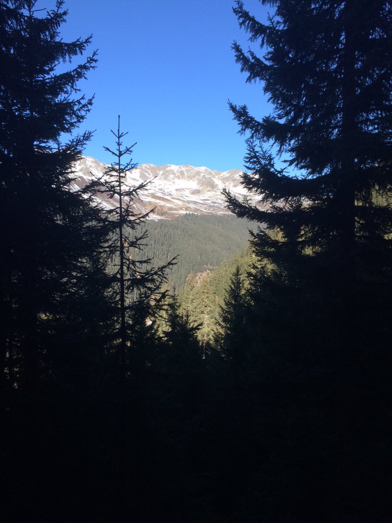 Happy New Year!! Let's hope for good snow in Europe in 2016!! #snow