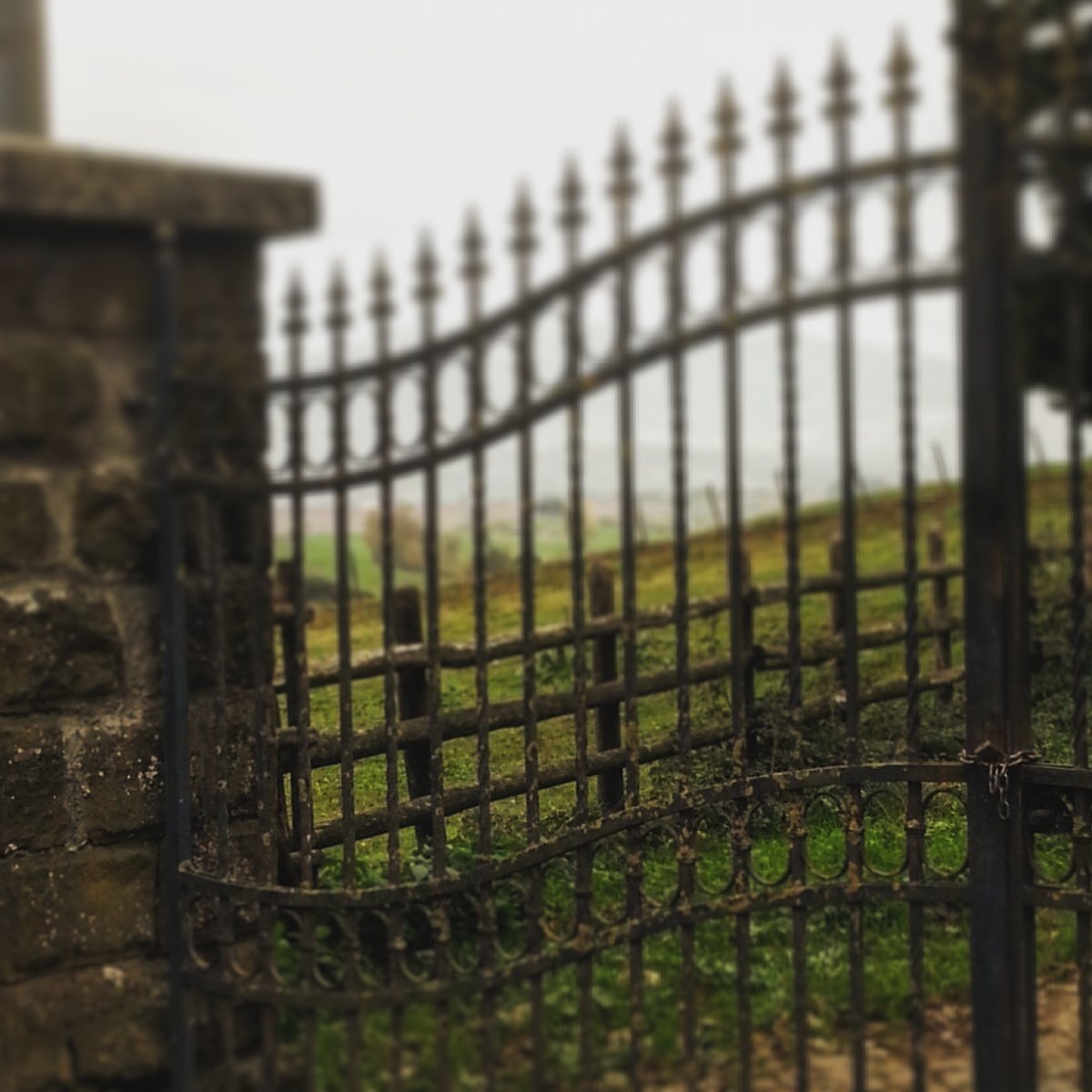 È quella malinconia di accettarne il dolore come la felicità, gli va fatto il caffè. Se vuoi,  vivere. 
#zero15 /365