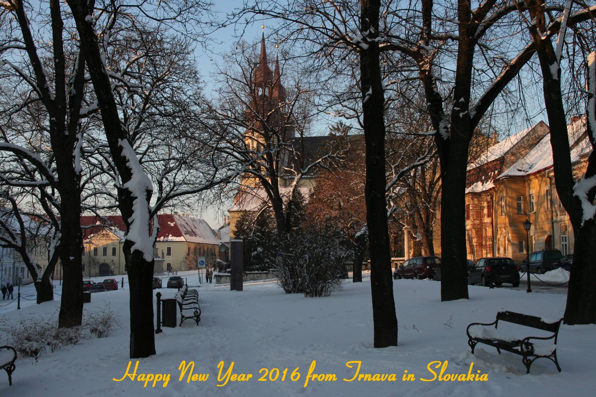 Dagmar Sekerešová tweet media