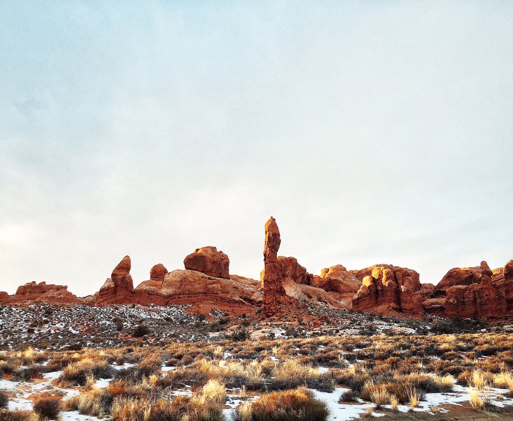 Nick Simonite tweet media